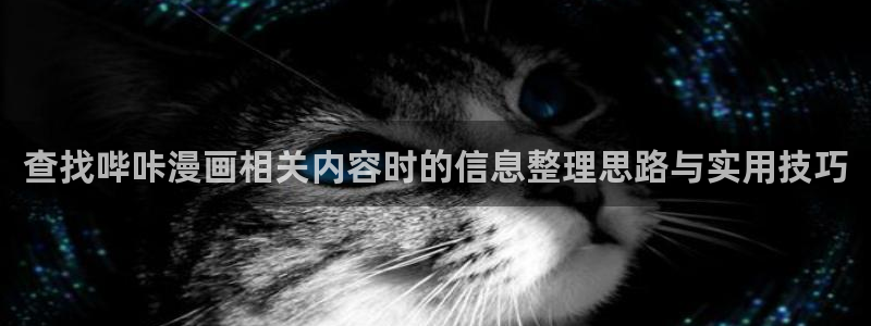 羞羞漫画收藏榜:查找哔咔漫画相关内容时的信息整理思路与实用技巧