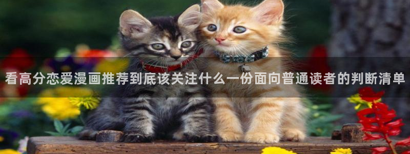 羞羞漫画日漫：看高分恋爱漫画推荐到底该关注什么一份面向普通读者的判断清单